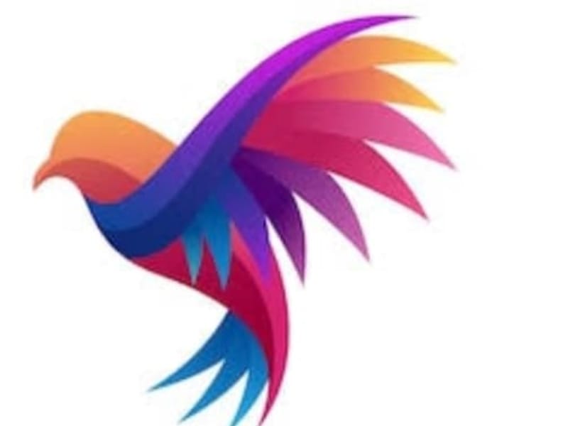 Cover image for fashion and functionality
