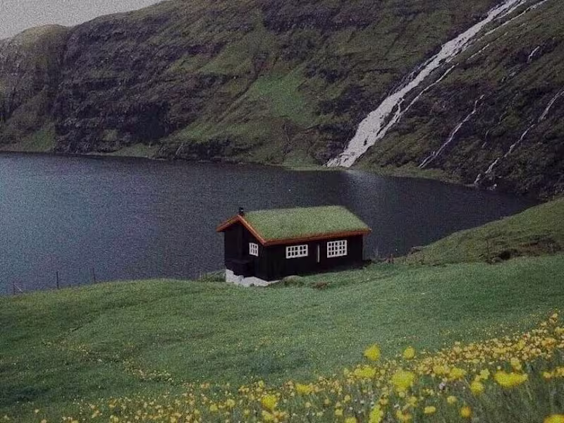 Cover image for Web Designing