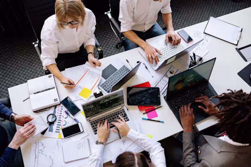 Cover image for The Role and Importance of Chief Sustainability Officers