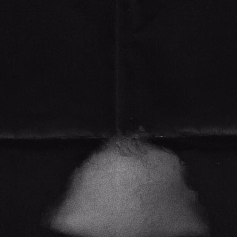 Cover image for Isabella Appalonia Cagnina on Instagram: “The intro to me ?”