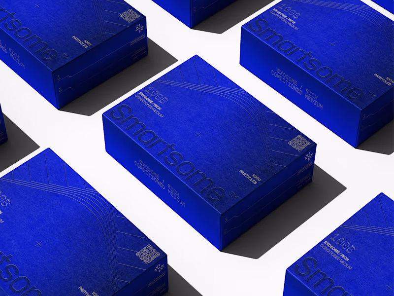 Cover image for Our most recient visual identity