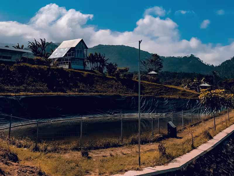 Cover image for colour grading design 