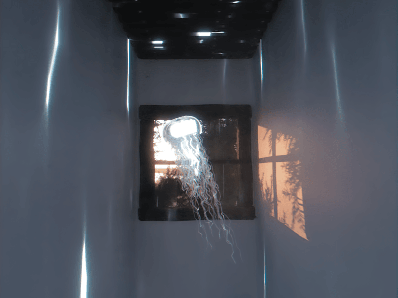 Cover image for Jellyfish