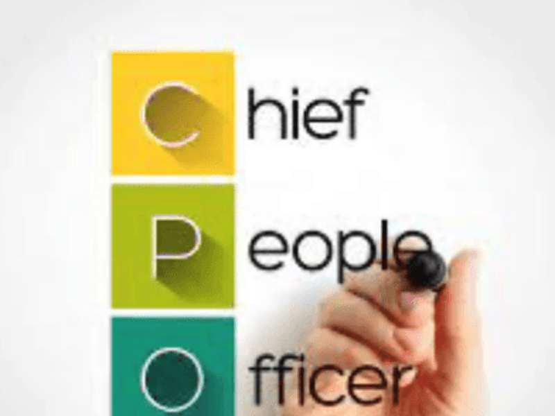Cover image for Lizabeth Murphy - People and Startup Guru