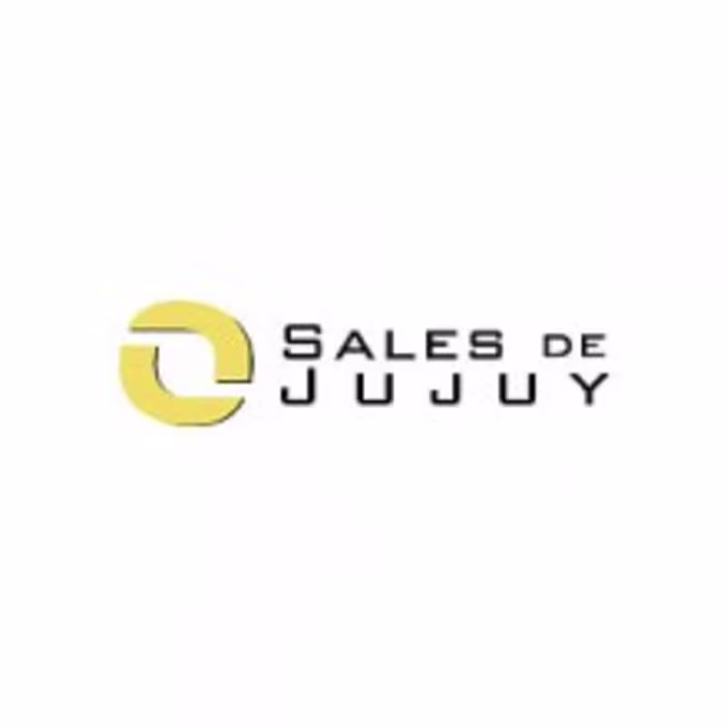 Cover image for SALES DE JUJUY (OROCOBRE GROUP)
Position: