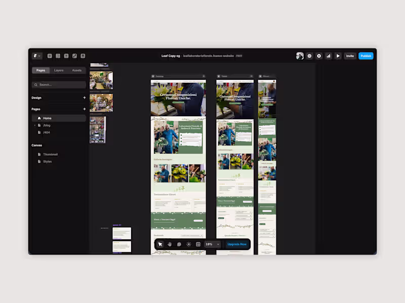 Cover image for Framer Development