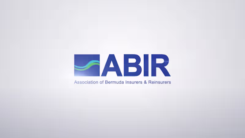 Cover image for ABIR // logo animation