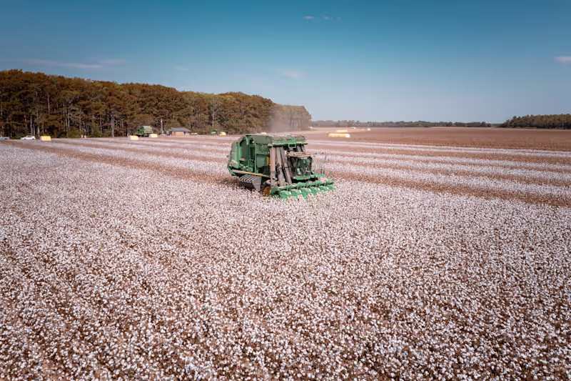 Cover image for Capturing the Cotton Harvest at Van Buren Farms