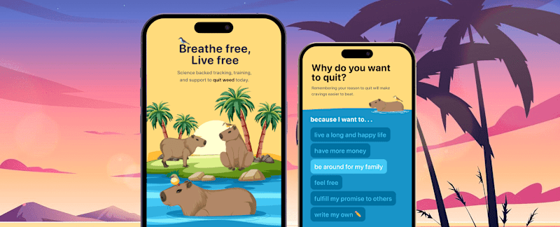 Cover image for Zencara | Mobile Design for MVP
