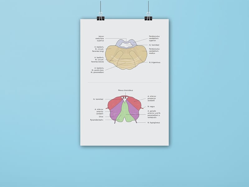 Cover image for Infographics