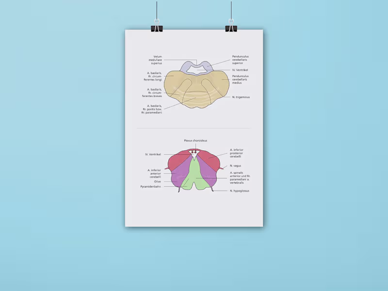 Cover image for Infographics