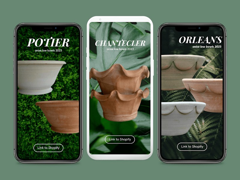 Cover image for Botanical Collections: Digital