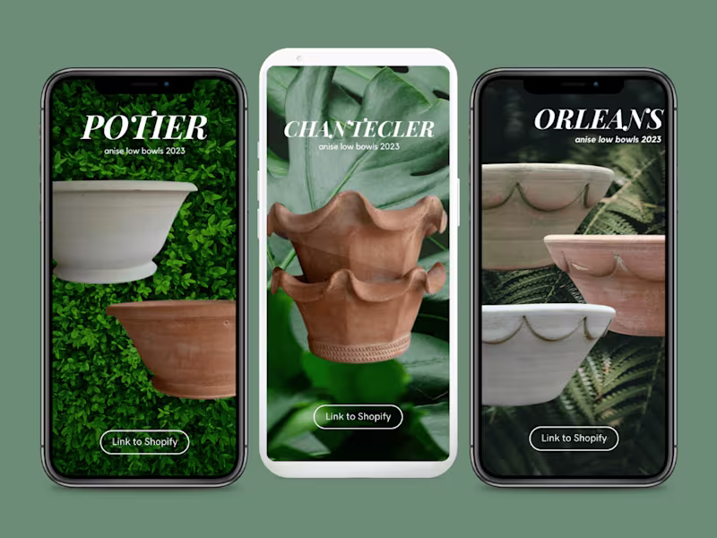 Cover image for Botanical Collections: Digital