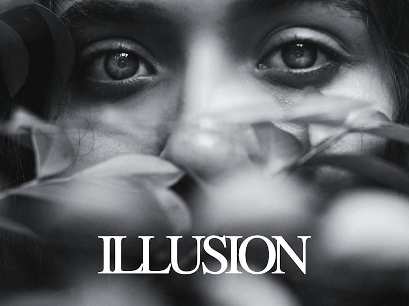 Cover image for ILLUSION 
