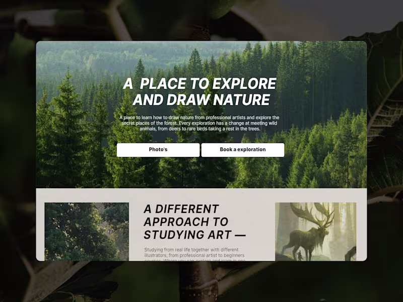 Cover image for A Place to Explore and Draw Nature