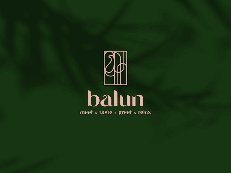Cover image for Balun Branding Design
