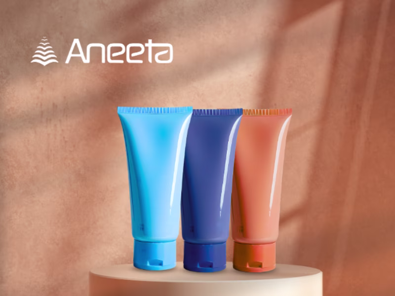 Cover image for ANEETA | Digital Presence Revamp