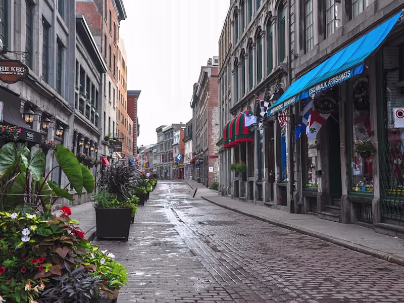 Cover image for Chief Technology Officer and Data Scientist Consultation