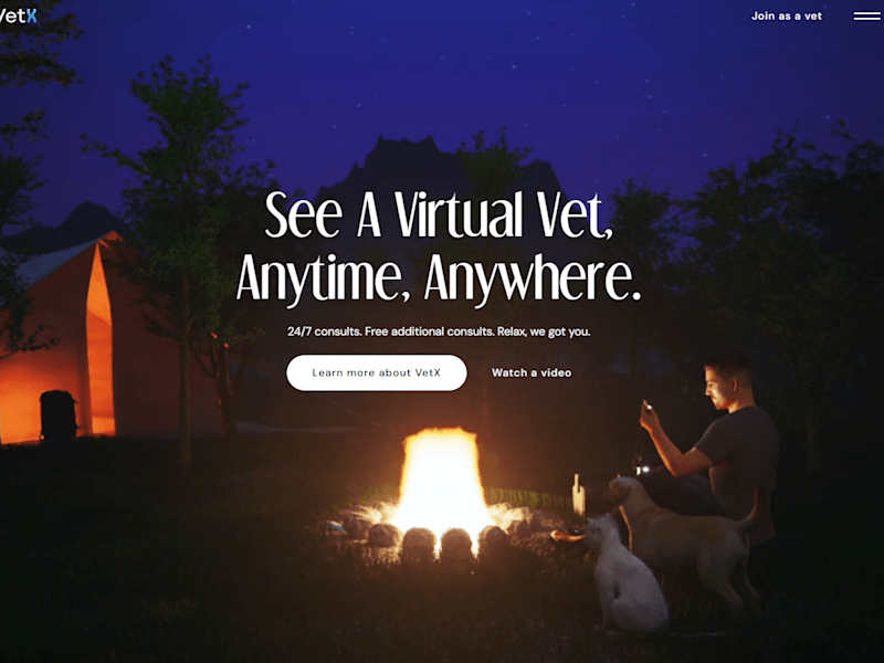 Cover image for Vetx