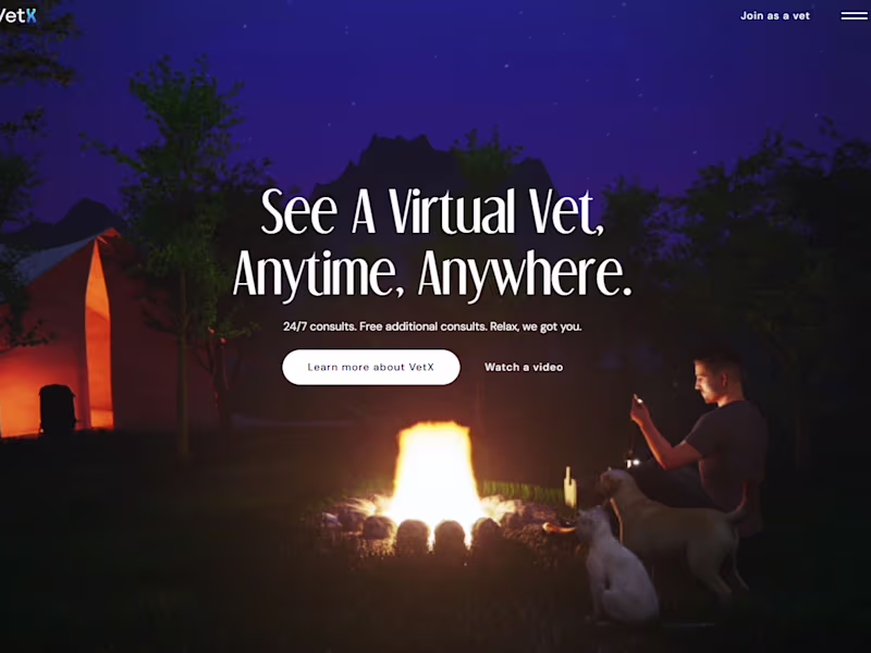 Cover image for Vetx