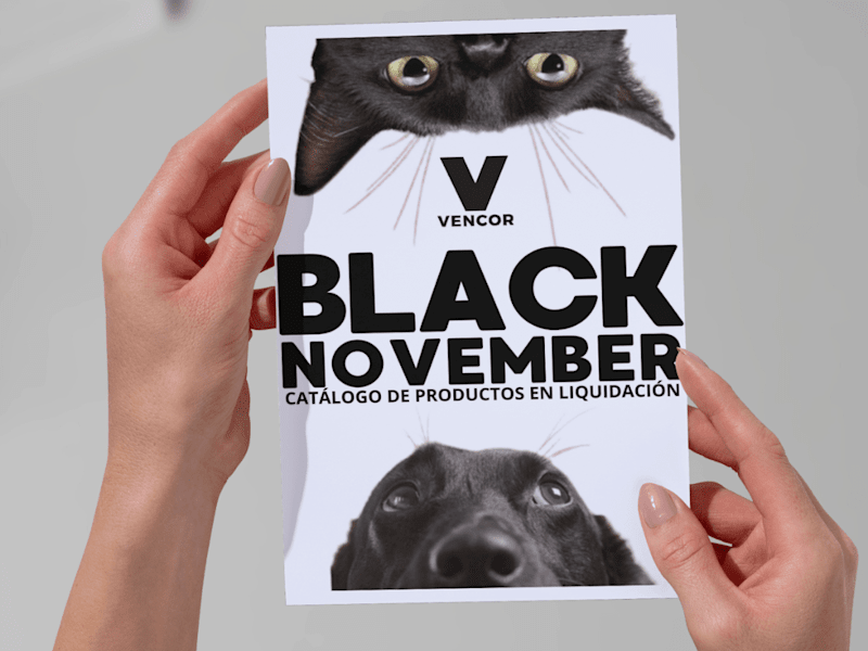 Cover image for Inversiones Vencor| Diseñador Gráfico