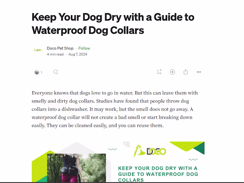 Cover image for Ready to Revolutionize Your Industry? Our SEO Service Can Help