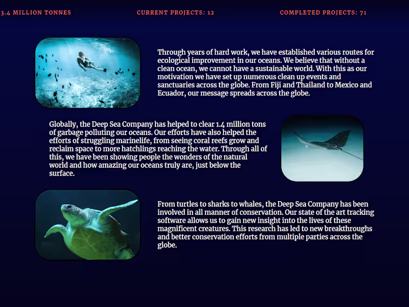 Cover image for Website Redesign and Revamp