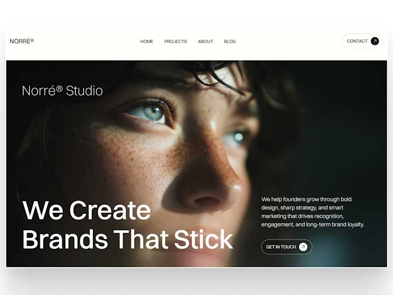 Cover image for Norre