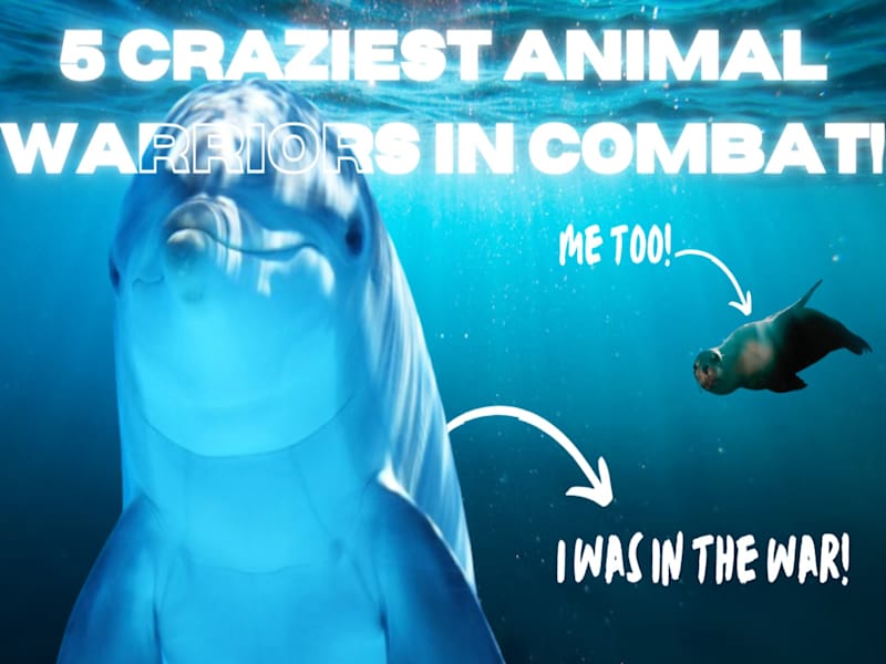 Cover image for YOUTUBE THUMBNAILS