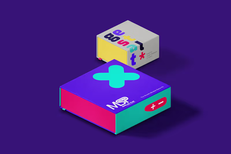 Cover image for MIND SET PLAY Connecting Pathways