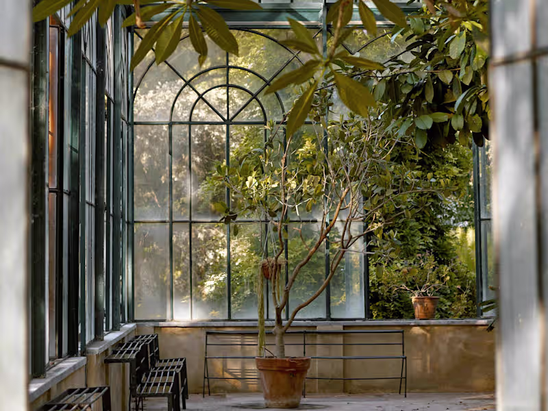 Cover image for The Greenhouse (Web Design + Development)