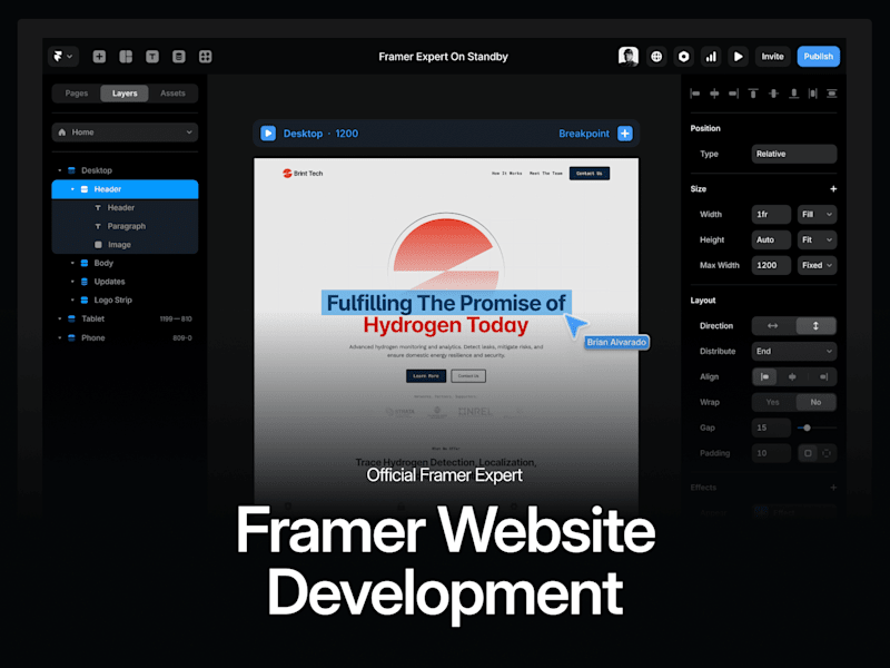 Cover image for Framer Website Development