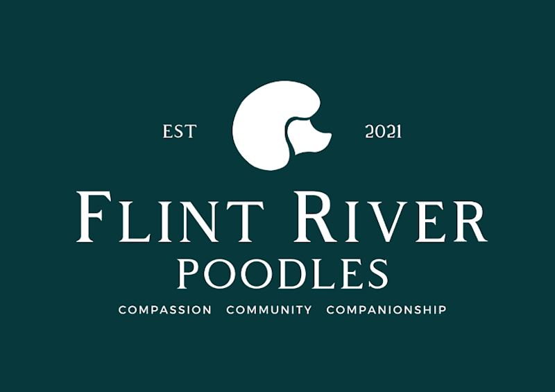 Cover image for Brand Design + Strategy for Flint River Poodles