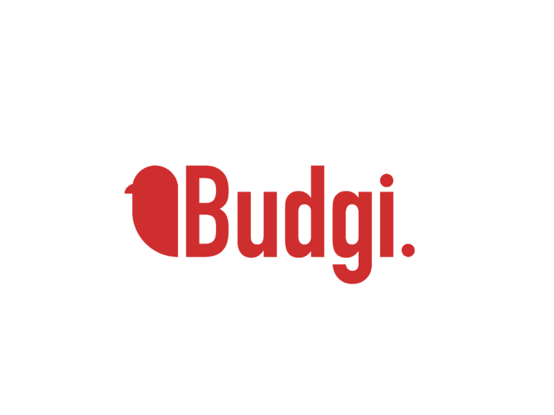 Cover image for Modern Logo Design for Budgi Inc.