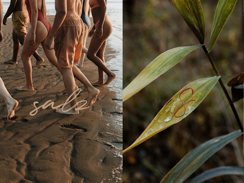 Cover image for Salz: Brand Design