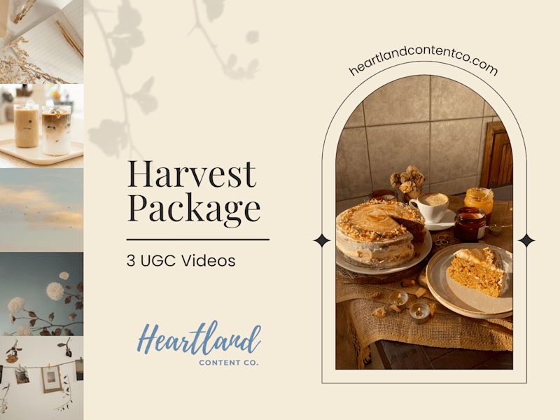 Cover image for Handcrafted UGC Videos with Strategy in Mind