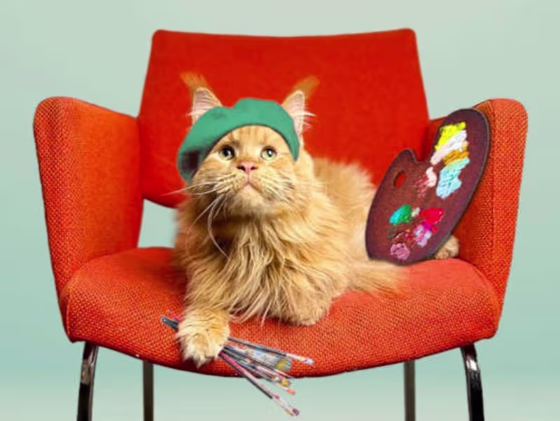 Cover image for Création de site internet E-commerce