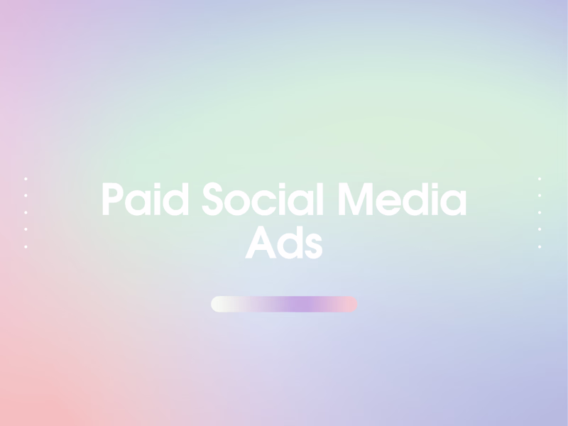 Cover image for Paid Social Media Ads