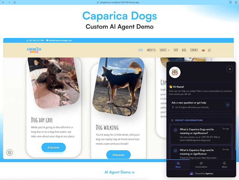 Cover image for AI Modernization for Caparica Dogs