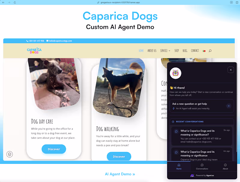 Cover image for AI Modernization for Caparica Dogs