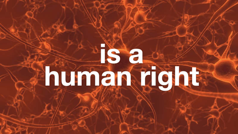 Cover image for Aspen Brain Institute