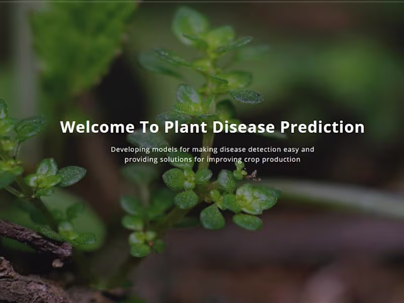 Cover image for Plant Disease Prediction System