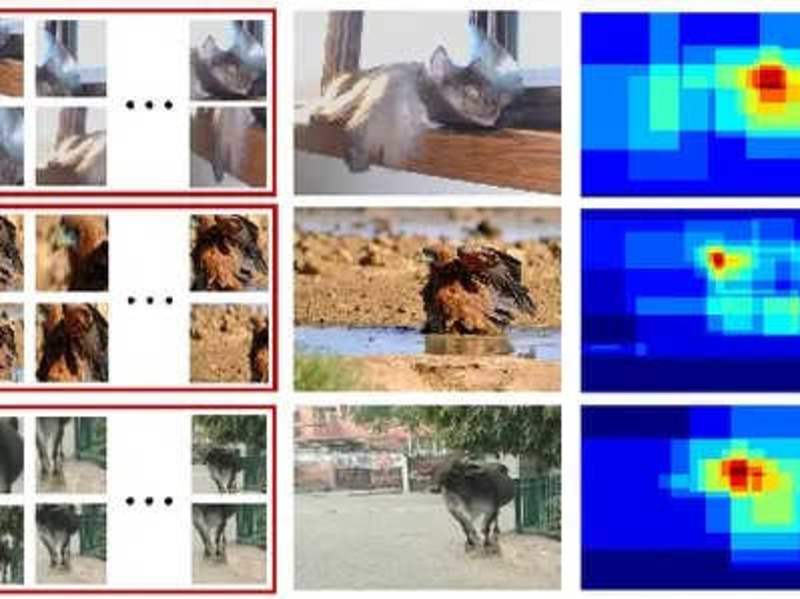 Cover image for Object detection and similiarity /Educational/