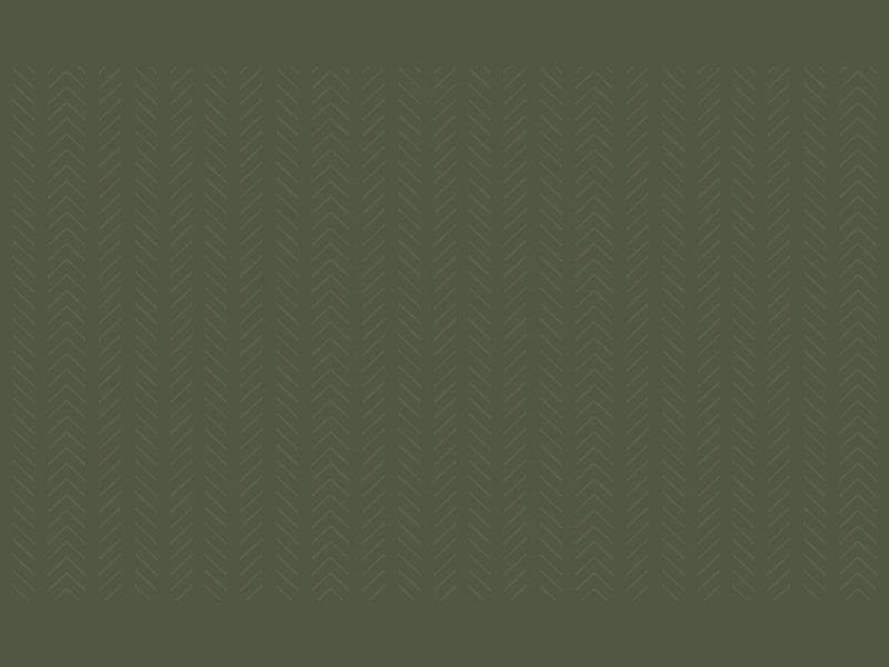 Cover image for Email Campaign Strategy, Design & Copy 