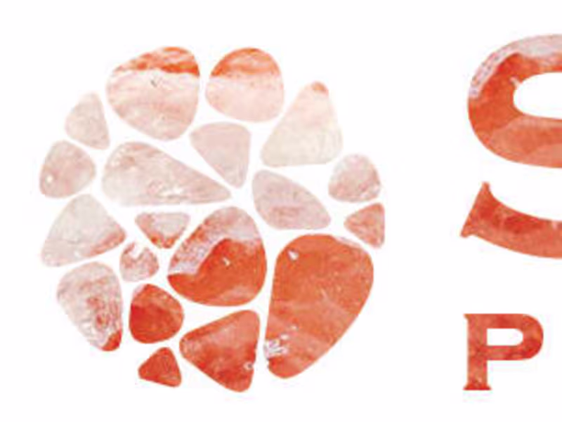Cover image for Salt Pakistan SEO Achievements