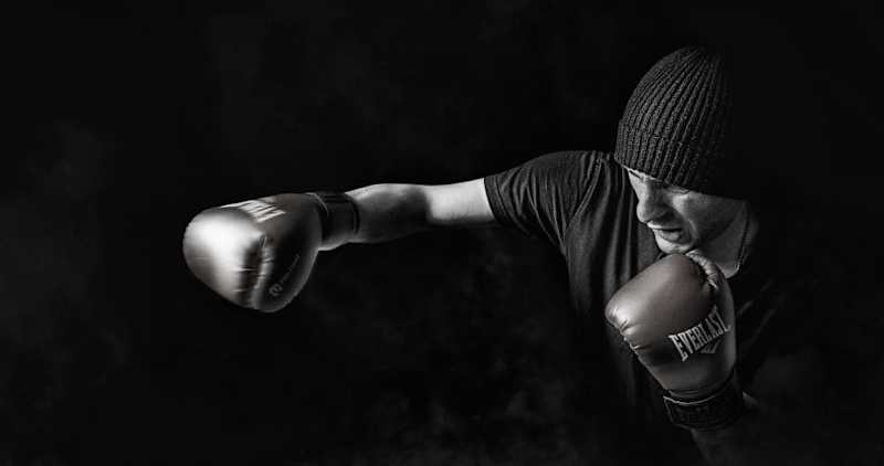 Cover image for The Punch Pro Product Collection Pages