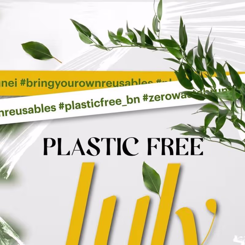 Cover image for Plastic Free July