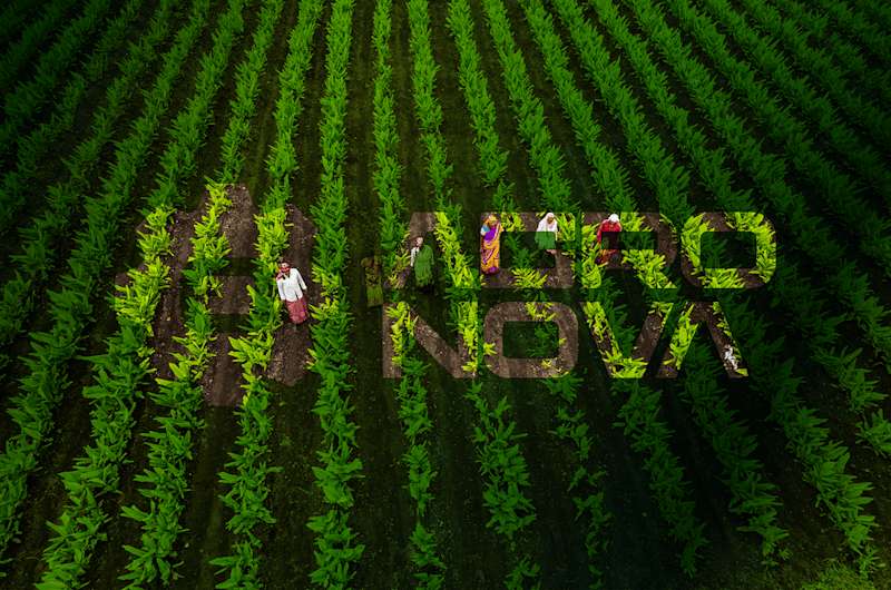 Cover image for Agronova Brand Identity
