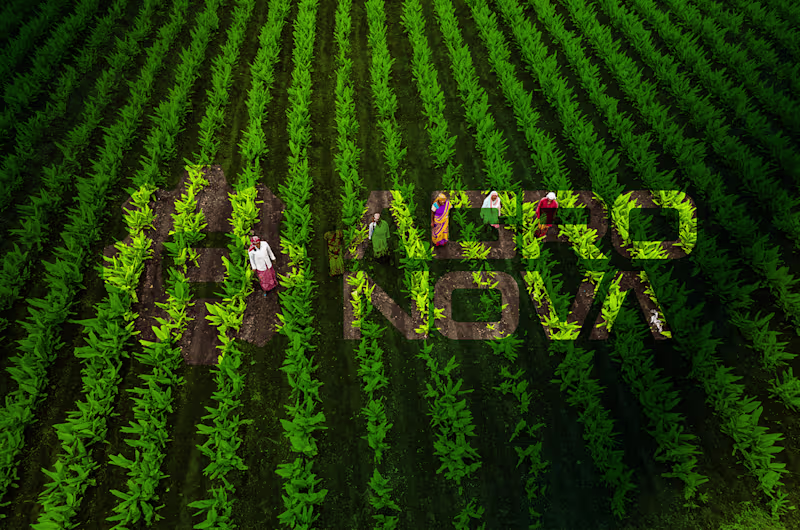Cover image for Agronova Brand Identity