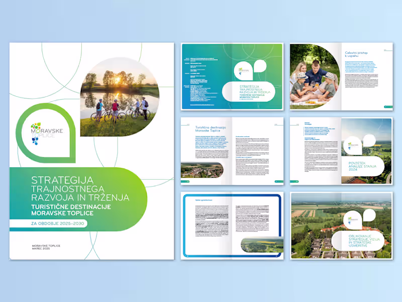 Cover image for Strategy Report - Brochure